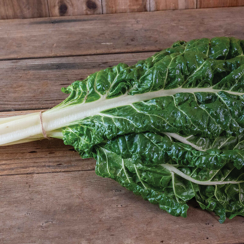 Silverado – Swiss Chard Seed